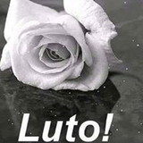 sueli alves de souza