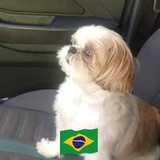 Suely Campos Luduvice