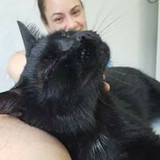 Fernanda D'Assumpção