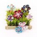 ELIANY CARDOSO DE OLIVEIRA