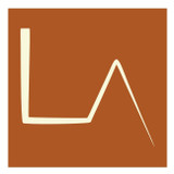 Laiz Lourenço Ferreira