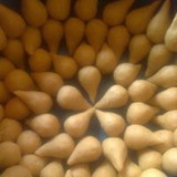 lucelia lidiane dos reis