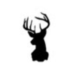 Bianca  Luciani Pascoal