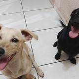 Bruna Gabriela Merino