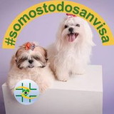 Karina Solano Candido