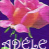 excluido_ADÉLE Artesanatos