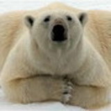 Luana de Souza João