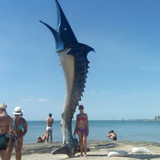 Jeruza Sech Buck Silva