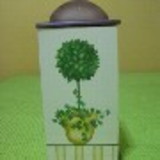 SENIR EMERICK DE SOUZA