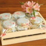 Maria Joselma Soares Felix