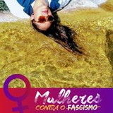 Carolyne Falsoni C. Silva