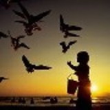 TAYSE PAULA CALDEIRA