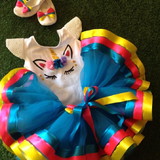 angelica cristina bebiano