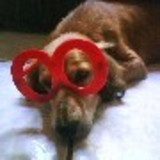 excluido_CANTINHO DA LEKA