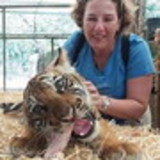 Monica Poletti Mastrodomenico