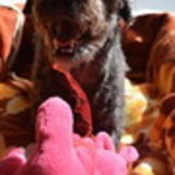 Rosimeri de Oliveira Fragoso