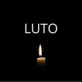 cintia abrunhosa pinto