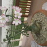 Patricia Costa Bahia