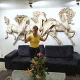 Maria sirleide bottone