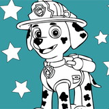 Elisangela Kotaka Guides Sano