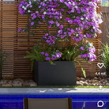 tercilia muniz chaves fighera