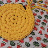 Ana Laura Costa Santos