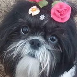 Elisangela da Silva fiscina