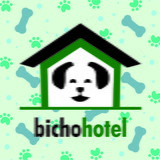 juliana amancio gelain