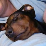 maria da graça hubbe