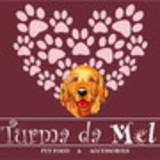 Biscoiteria Turma da Mel
