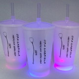 Paula Lacerda de Carvalho