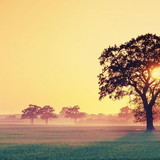 akila maria mascarenhas silva