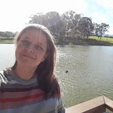 Daniela stein s pessini