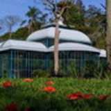 Paula Espirito Santo