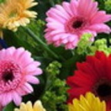 Edneia Maria Barbosa de Freitas