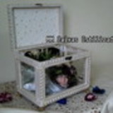 Caixas & Cia Presentes de Sucesso