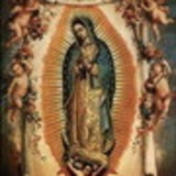 Michele Ferreira de Souza