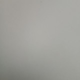 Ana Carolina sobral BLOOMFIELD