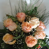 Fernanda Pivetta Zanotti