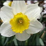 Ana Patricia Souza Barros