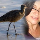 maria de fátima rasquinho