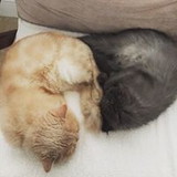 Catherine Bittencourt