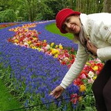 SILVIA REGINA VAIDA FERREIRA