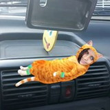 Renata Cristina Tanzi