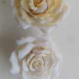 vanartes.elo7.com.br