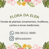 FLORA DA ELEN
