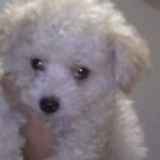 Sheila Cristina Venceslau Alves