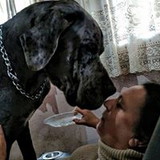 Elisabeth Porto Aguiar Camargo