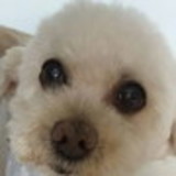 Nasare Vieira Nogueira