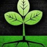 excluido_Broto e Raiz